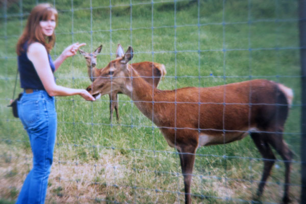 Chris Volunteers with an Animal Rescue Group