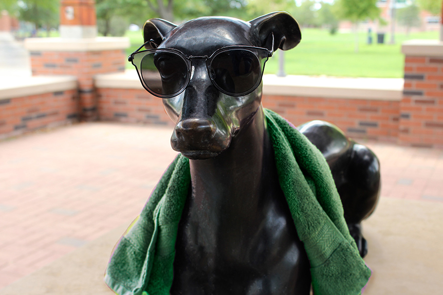 Greyhound statue with sunglasses and towel
