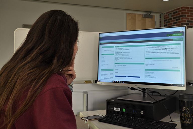 Student using website and portal