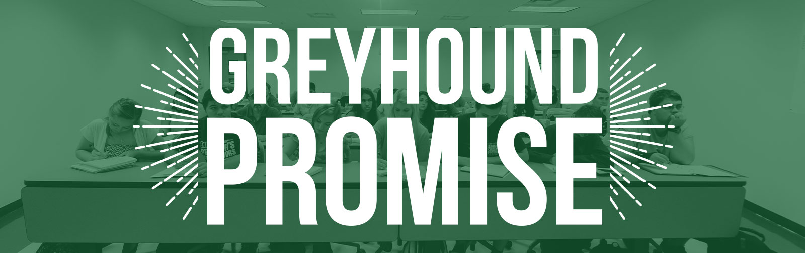 Greyhound Promise Banner