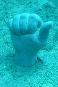 photo senn Hand
