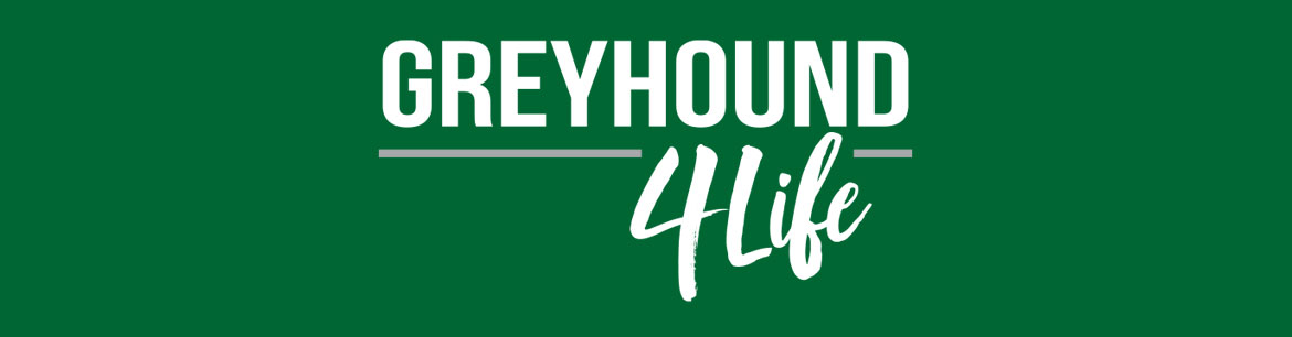 greyhound for life banner