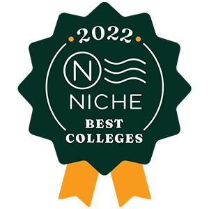 niche best online colleges