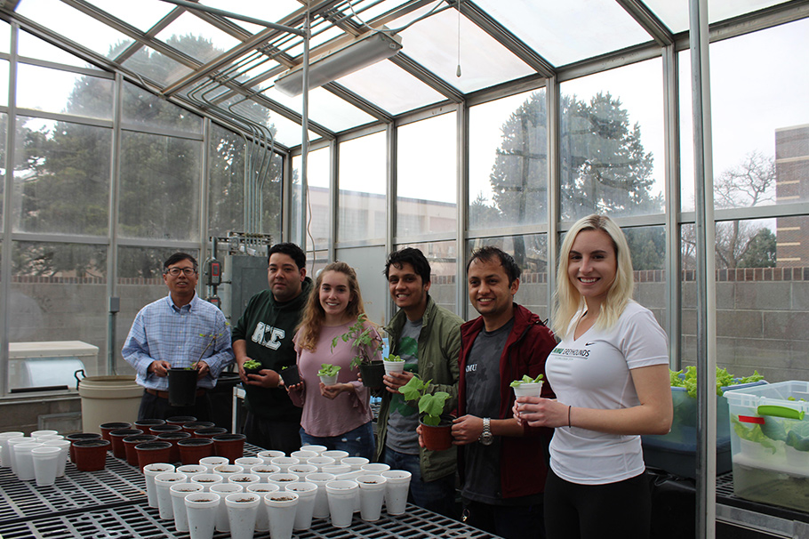 Dr. Zhiming Liu (first on left) with his undergraduate and graduate students working inside the ENMU Greenhouse.