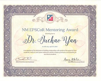 dr yan mentoring award