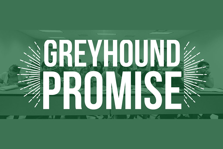 Greyhound Promise