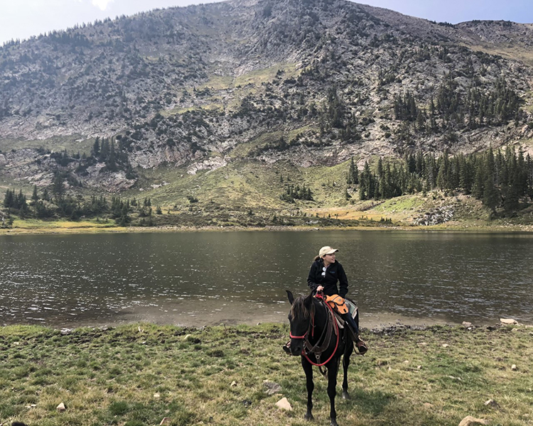 marilyn upchurch riding horse