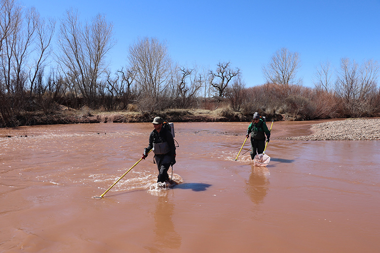 rick and sara sampling fishes in the recos river