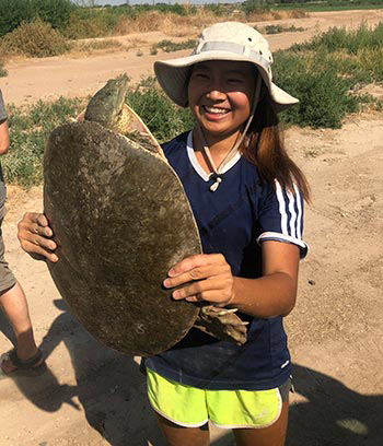 suriyamongkol with big softshell turtle