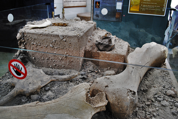 excavation site replica