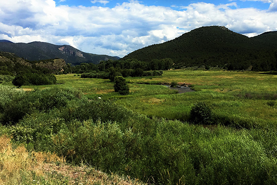 costilla landscape