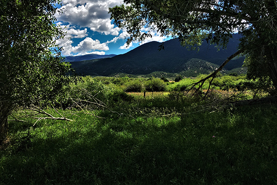 costilla trees mountains