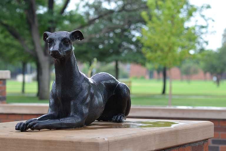 Greyhound Statue in Rain