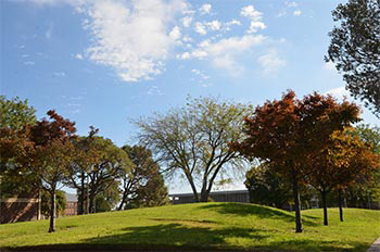 photo spot trees and hills