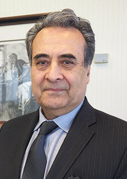 hossein zamanian