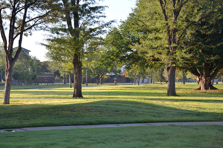 ENMU Trees