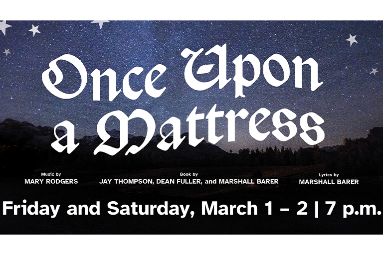 Once Upon a Mattress Poster