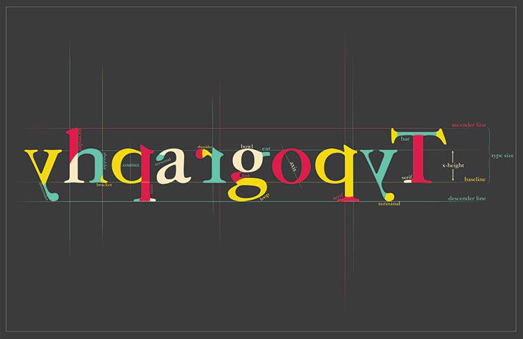 david typography art