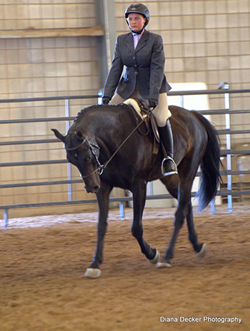 kelsey decker riding horse