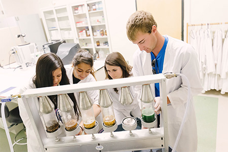 agricultural sciences