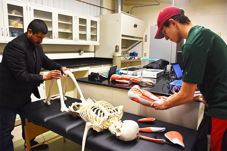 student and teacher working on skeleton example