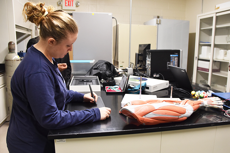 student working on muscle tissue prop