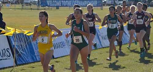 Greyhound Women's Cross Country Finishes Second at LSC Championships, Men's Team Takes Fourth