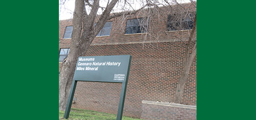 Museum on Campus Named After Legendary Professor