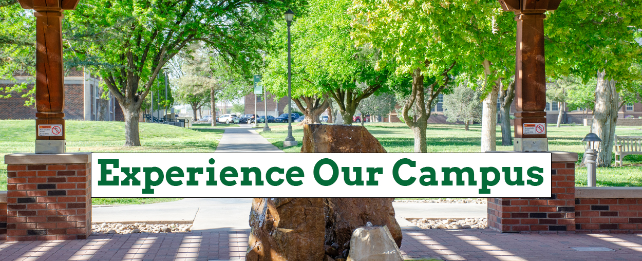 Experience Our Campus