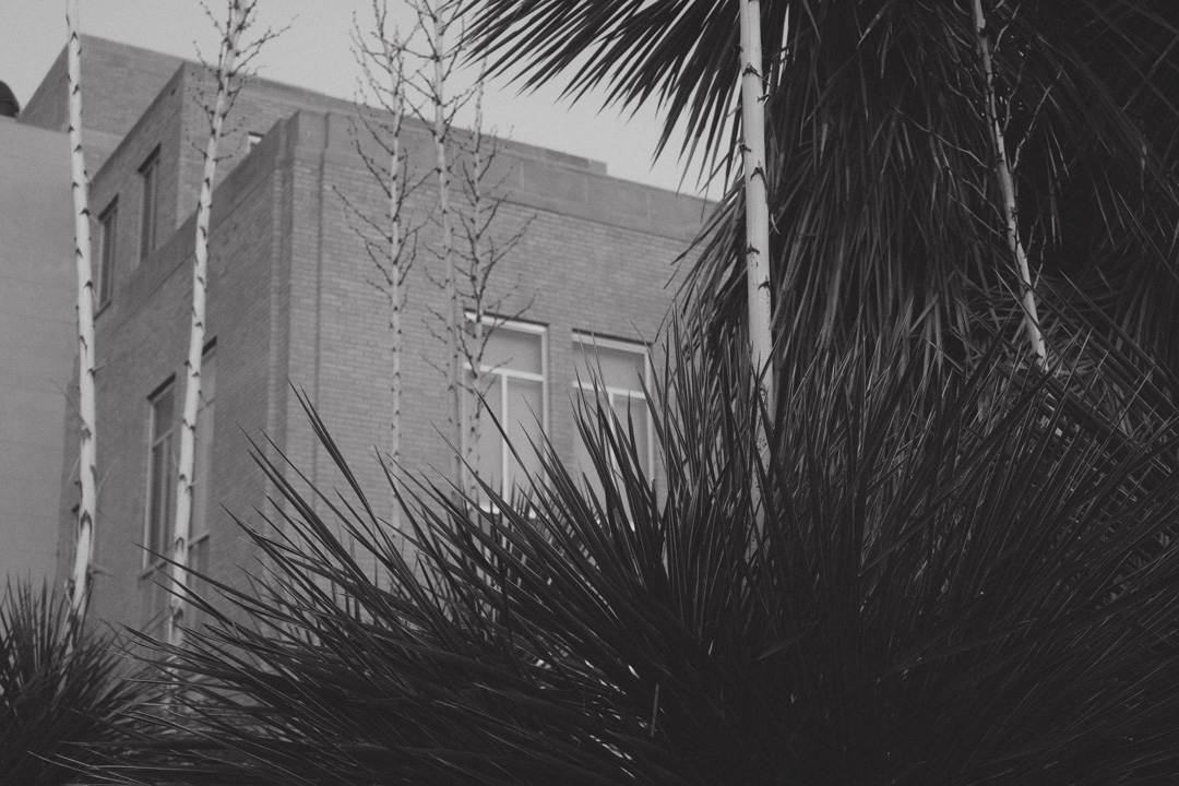 James Idsinga Photo Essay