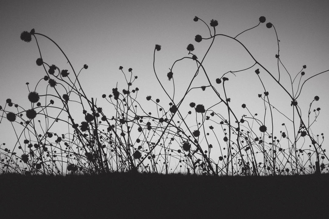 James Idsinga Photo Essay