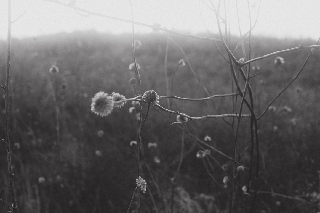 James Idsinga Photo Essay