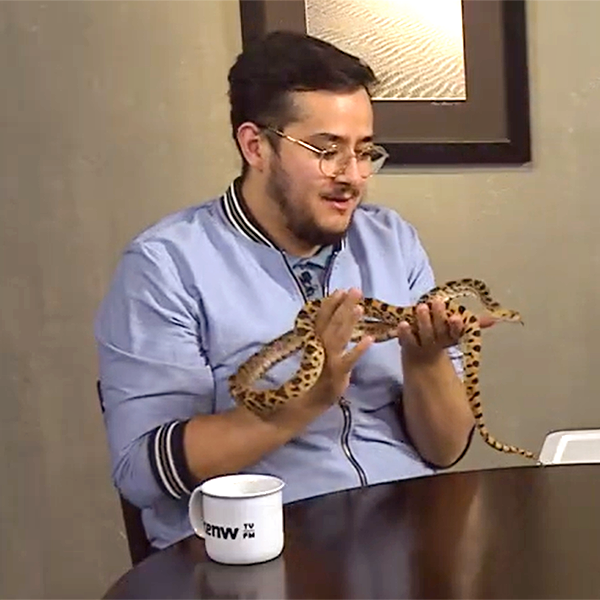 Video Interview with Jorge Aldavaz, Holding a Ball Python