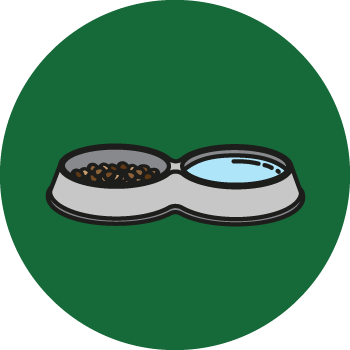 soups and salads